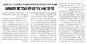 秦海岩： 新能源仍将保持稳定发展规模