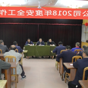 公司召开2018年度安全工作会议