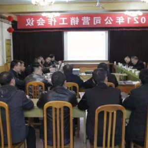 公司召开2021年度营销工作会议