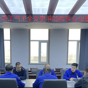公司安委会召开2025年安全工作会议
