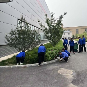 公司各单位部门开展绿化卫生责任区清洁活动